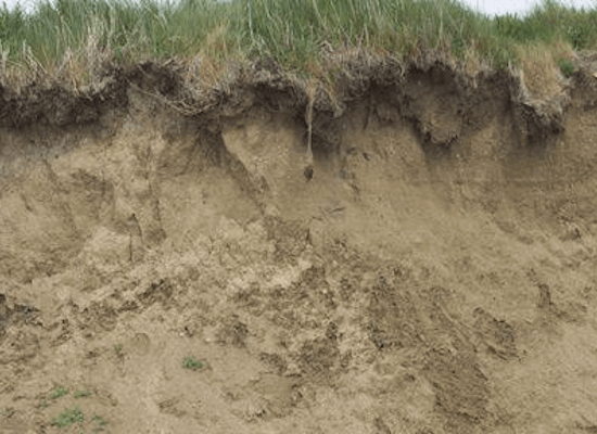 arrosage sol sableux